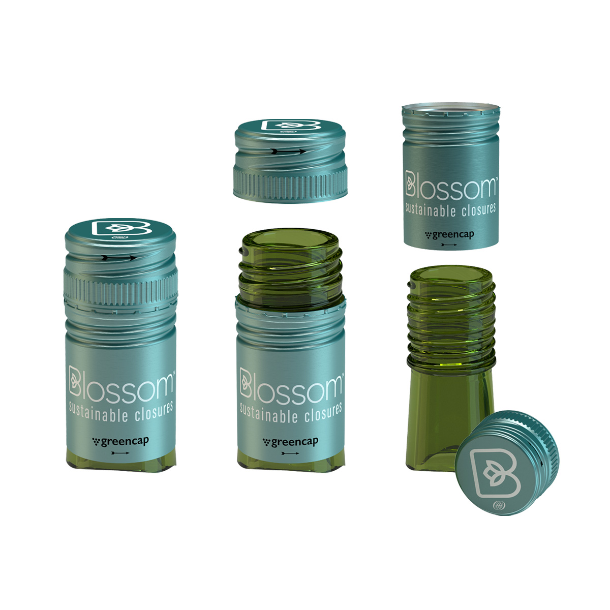 Greencap (2016-2018)