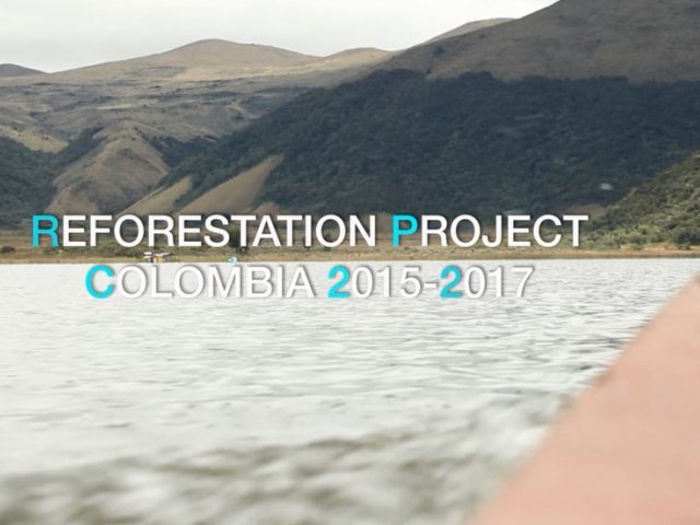 Riforestazione in Colombia